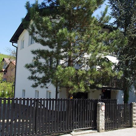 Apartment Zupan Maribor Kültér fotó